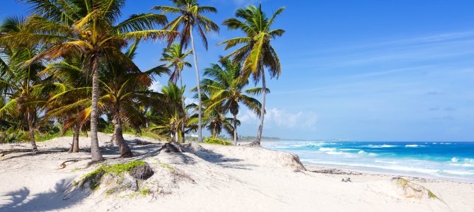 Dominikánská republika, pláž Bavaro, Punta Cana, ostrov Saona